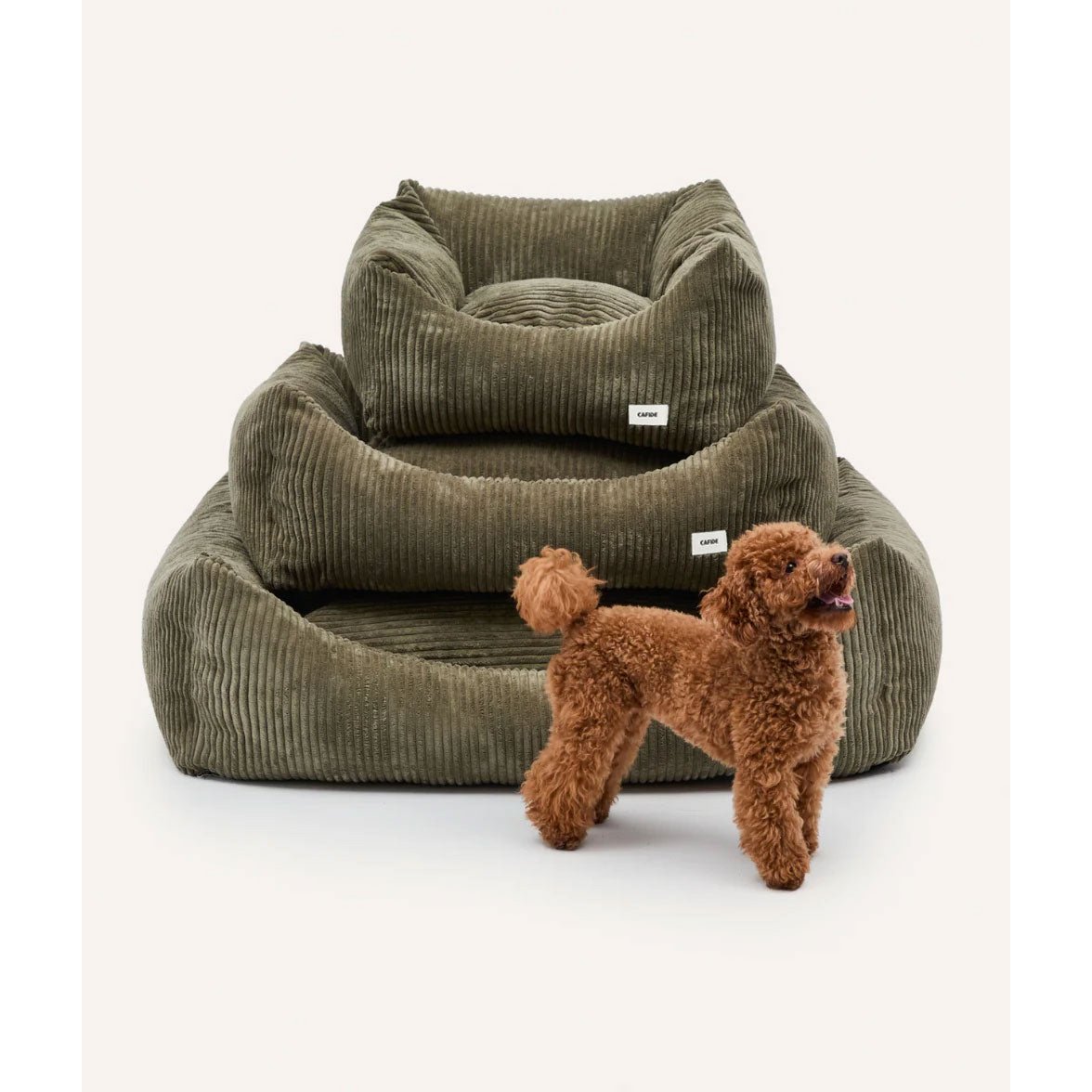 Groene hondenmand met ribfluwelen corduroy stof van het merk cafide in een grootte-vergelijking